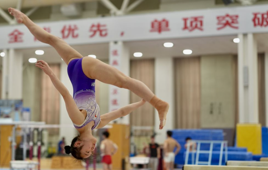 乐竞体育网站成功案例分享与启示
